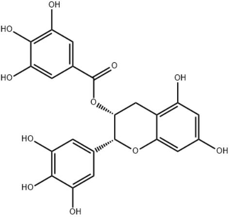 (-)-Epigallocatechin gallate